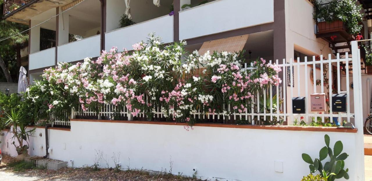 Ferienwohnung Casa Perciata - Locazione Turistica Mondello Exterior foto