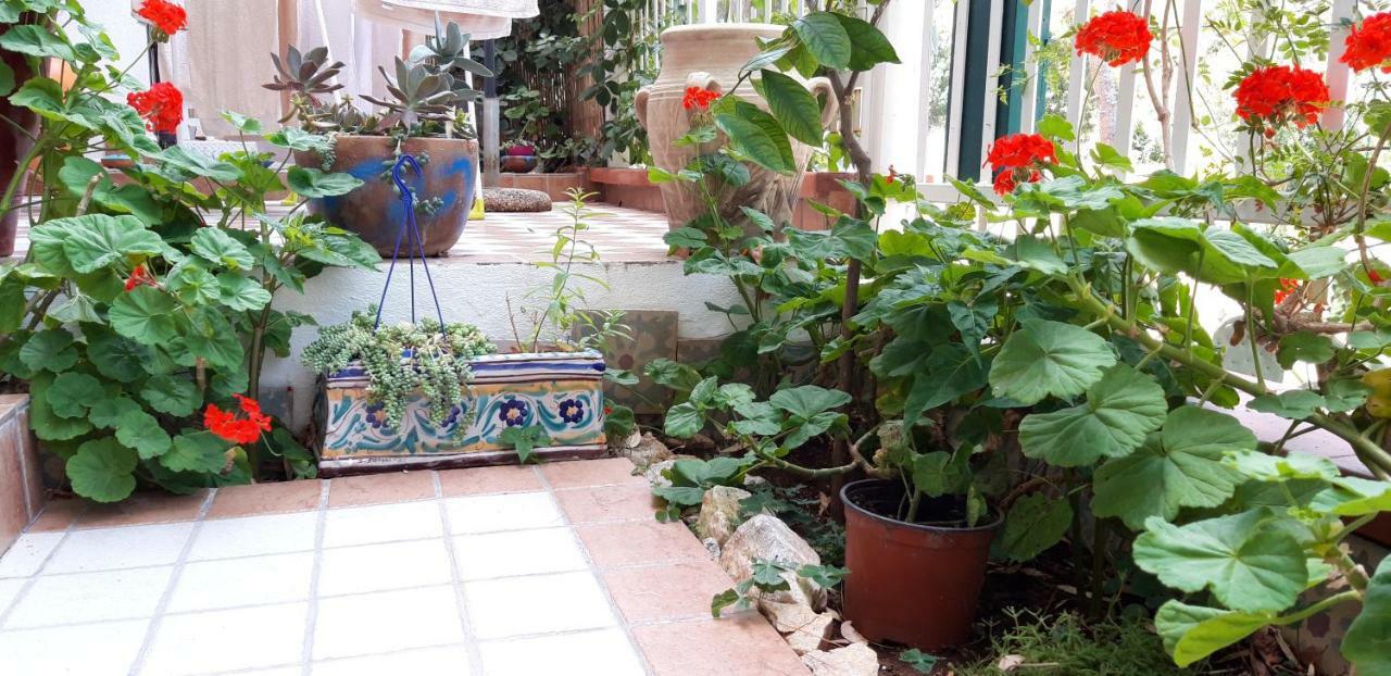 Ferienwohnung Casa Perciata - Locazione Turistica Mondello Exterior foto